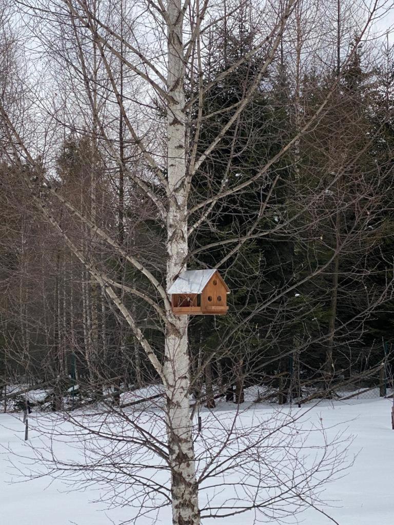 Hanna'S Hidden Haven Harghita-Băi Habitación foto